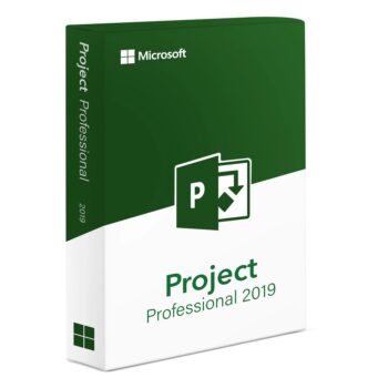 Microsoft Project 2019 Professionnel